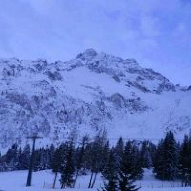Alpino S.r.l. - Foto 3