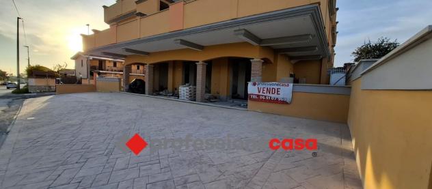 3 Vetrine in vendita a Pomezia - Foto 3