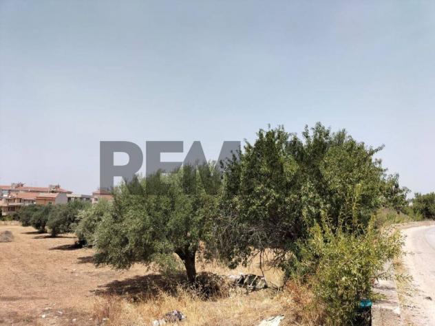 Terreno in vendita a Comiso, Centro - Foto 6