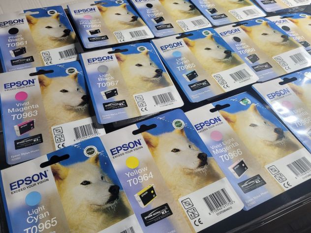 Cartucce Originali Epson Stylus Serie T0 per Stampante Fotografica R2880 - Foto 2