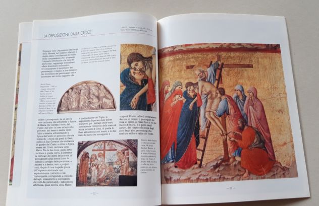 DUCCIO - Foto 8