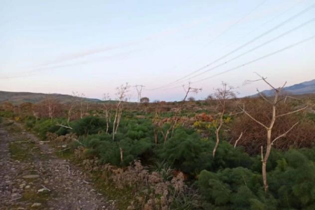 Immobile in asta di 36546 m² in vendita a Nicolosi - Foto 9