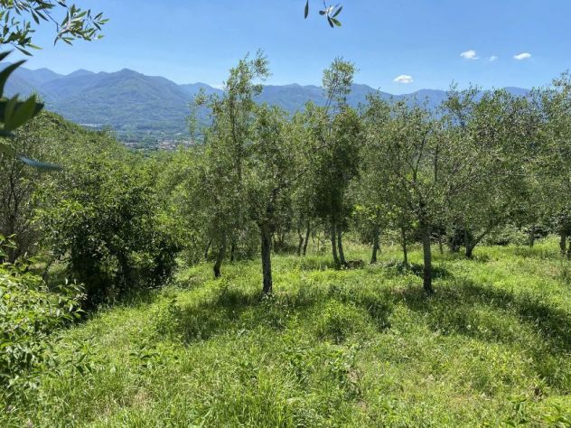Bilocale con accesso indipendente - Comune di Filattiera (MS). - Foto 9