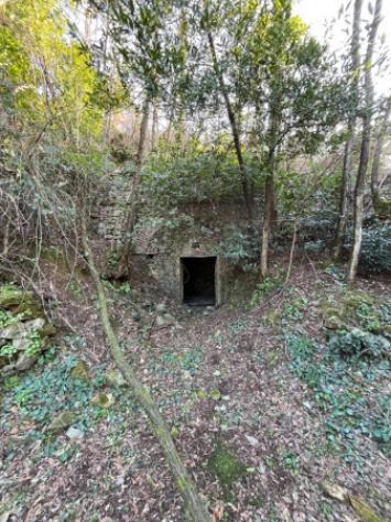 Immobile in asta di 783 m² con più di 5 locali e box auto in vendita a Montale - Foto 12