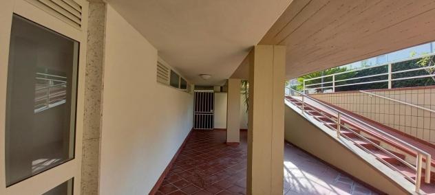 Appartamento in affitto a Lido di Camaiore - Camaiore 60 mq Rif: 1018145 - Foto 7