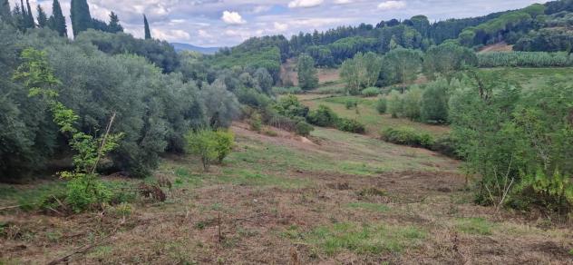 Terreno agricolo in vendita a Crespina - Crespina Lorenzana 20000 mq Rif: 1277662