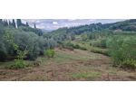 Terreno agricolo in vendita a Crespina - Crespina Lorenzana 20000 mq  Rif:  &hellip;