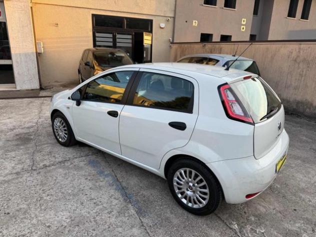FIAT Punto 1.3 MJT II 75 CV 5 porte Easy rif. 24068305 - Foto 4