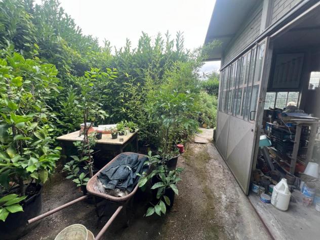 Capannone artigianale in vendita a Pietrasanta 60 mq Rif: 1333514