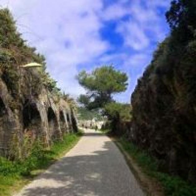 S.a.s. Zurigo di Giaccardi Maria Cristina - Foto 3