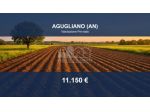 Immobile in asta di 3962 m² in vendita a Agugliano