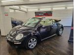 Volkswagen New Beetle 1.9 TDI 105CV Cabrio