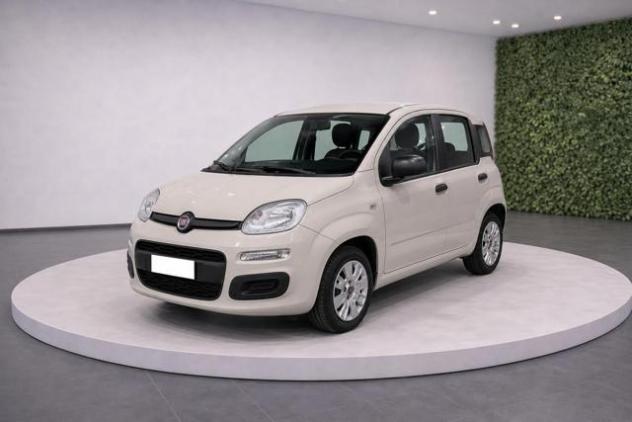 FIAT Panda III 1.2 8v 69Cv Easy rif. 23281399