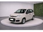 FIAT Panda III 1.2 8v 69Cv Easy rif. 23281399