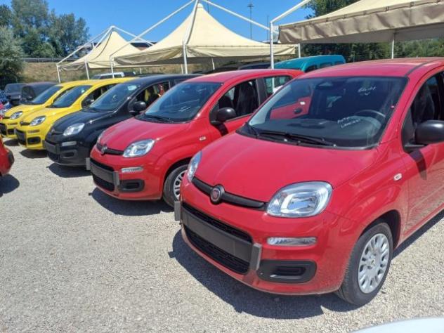 FIAT New Panda 1000 HYBRID 70 CV PDC STEREO USB ITALIA rif. 23993225 - Foto 3