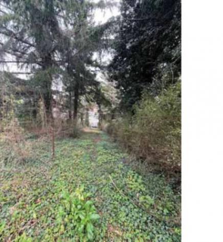 Immobile in asta di 1766 m² in vendita a Serra Riccò - Foto 6