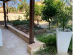 Immobile con ingresso autonomo,ampio garage e posti auto,giardino rigoglios &hellip;