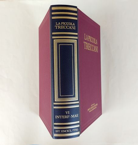 La Piccola Treccani VI INTERF-MAE Dizionario enciclopedico Ed.Treccani,Roma 1995 - Foto 4
