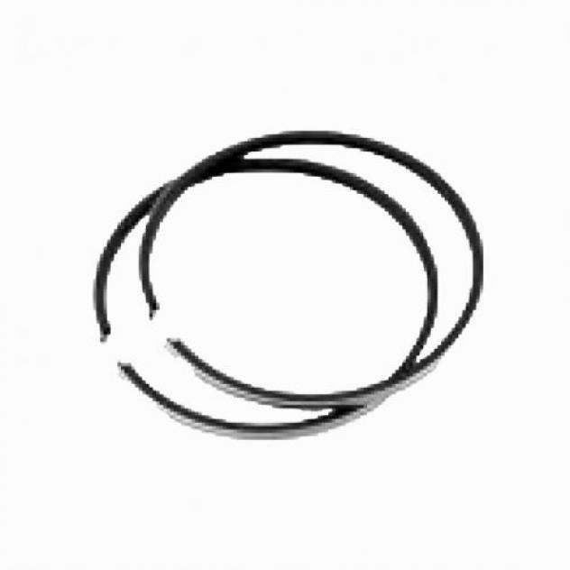 Serie segmenti Malossi 357259 da 47 x 1,5
