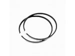 Serie segmenti Malossi 357259 da 47 x 1,5