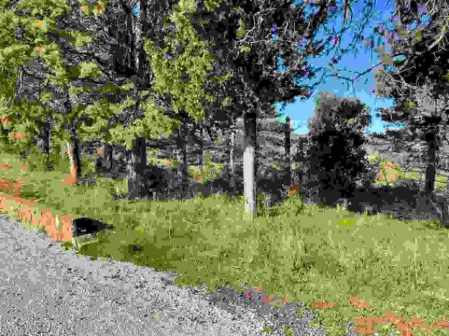 Immobile in asta di 34322 m² in vendita a Bucine - Foto 5