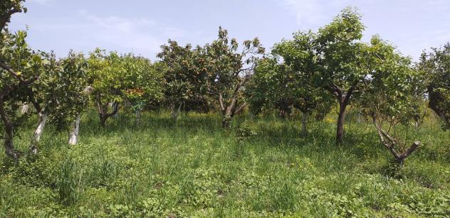 Terreno in vendita a Fiumefreddo di Sicilia - Foto 6