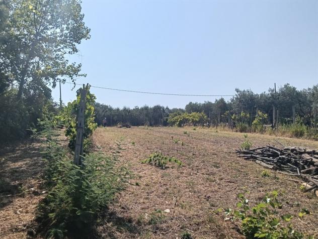 Lanuvio - Foto 12