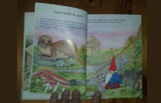 Collana completa "Il libro segreto degli Gnomi" - Foto 3