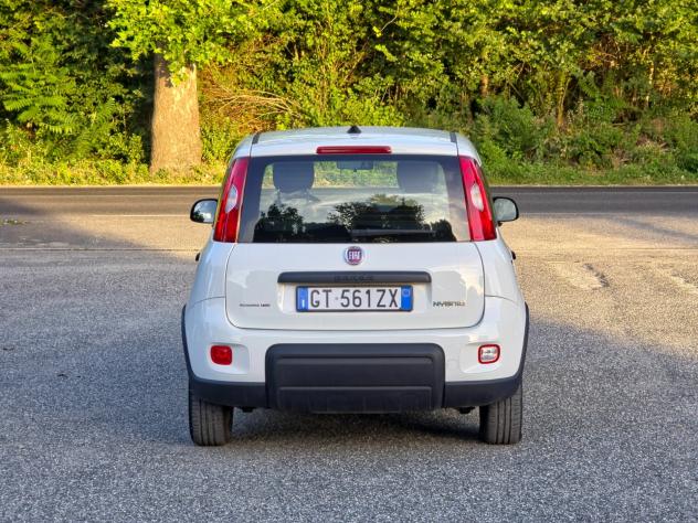 Fiat Panda 1.0 FireFly S&S Hybrid CV-69 E6 Manuale NEO 2024 - Foto 5