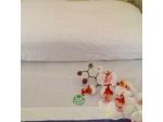 B&B 091