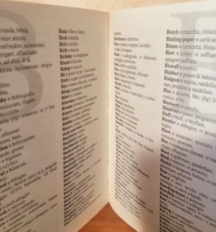 Dizionario Italiano-Inglese - Inglese-Italiano Solemar Edizioni 2006 - Foto 4