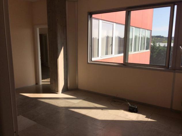 Immobile di 800 m² con più di 5 locali in affitto a Andezeno - Foto 6