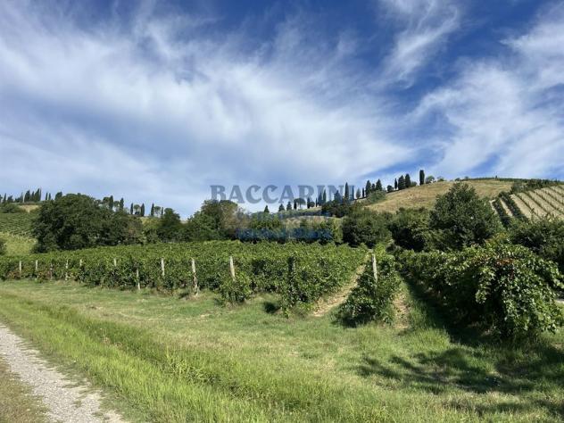 PODERE AGRICOLO CON CAPANNONE - BRISIGHELLA - FAENZA - VIA AGELLO E SANDRONA - Foto 4