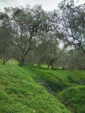Terreno in vendita a Ficarra