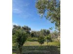 IMMOBILI-ALTRA CATEGORIA-Contrada Lago dei Lupi, 70056 Molfetta BA, Italia
