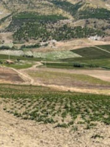 Immobile in asta di 118260 m² in vendita a Monreale - Foto 12
