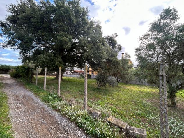 Edificabile in Via Carpineto Romano - Foto 6