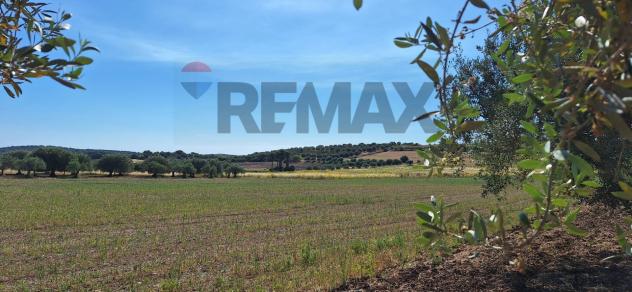 Terreno in vendita a Noto - Foto 11