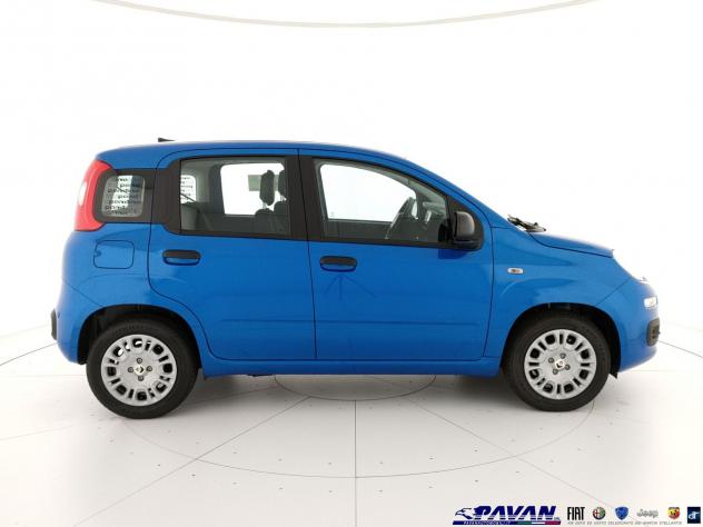 FIAT Pandina Panda 1.0 FireFly 65 CV Hybrid Icon - Foto 5