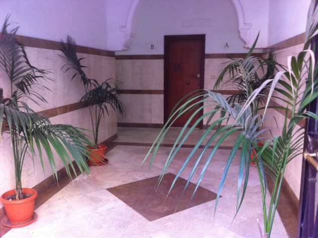 posto letto università di roma