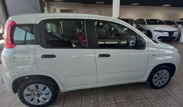 FIAT Panda 1.2 POP rif. 23888024 - Foto 4