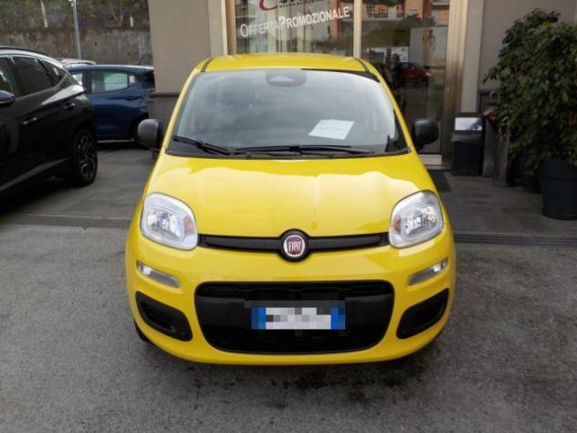 FIAT Panda MY25 - 1.0 FireFly Hybrid POP rif. 21599367