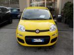 FIAT Panda MY25 - 1.0 FireFly Hybrid POP rif. 21599367