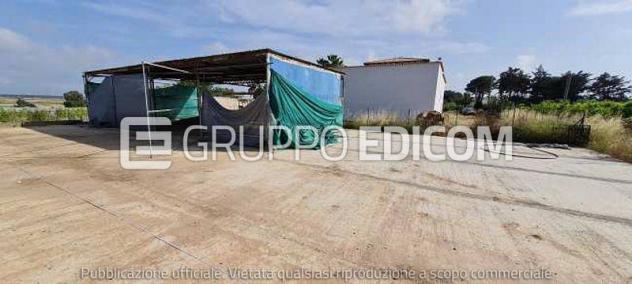 Fabbricati per attività agricole di 122 mq in vendita a Pisticci - Rif. 4541687 - Foto 6