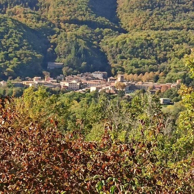 Casa semindipendente in vendita a Montieri 80 mq Rif: 1077150