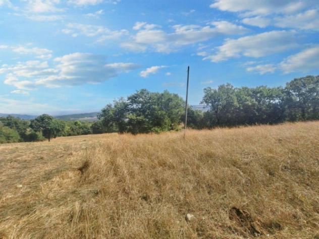 Immobile in asta di 3875 m² in vendita a Bevagna - Foto 9