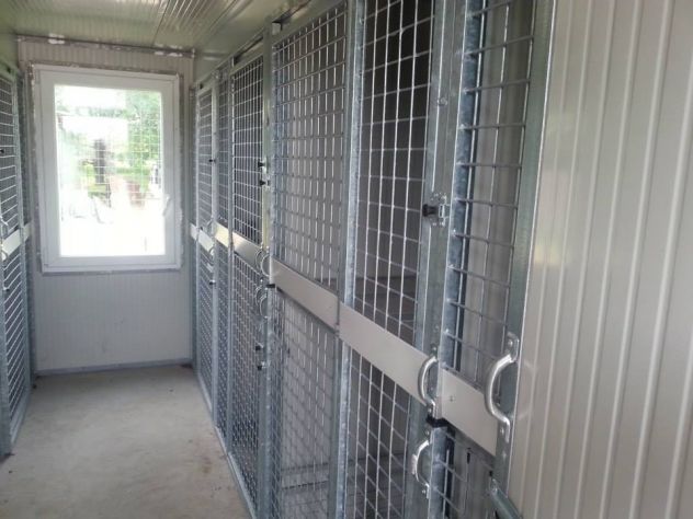 Pensione per cani - Foto 4
