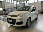 FIAT Panda 1.0 FireFly S&S Hybrid rif. 24056003