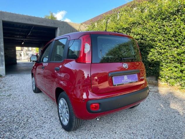 FIAT Panda 1.0 FireFly S&S Hybrid rif. 22923984 - Foto 6