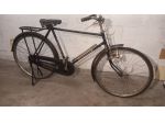 Bicicletta Golden Lion